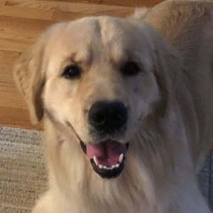 Meet your Posher, Jaime